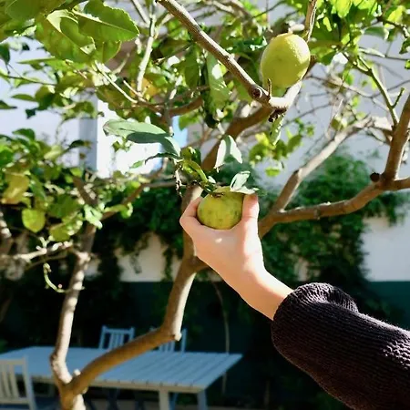 Appartamento Beautiful Family With Courtyard-cascais *